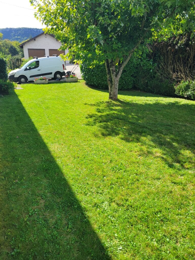 eefd8634 d753 4403 bd00 9520fad753b0 1 all 5009 (1)