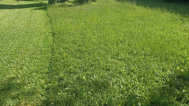 Accueil Svg+xml,%3Csvg%20xmlns%3D%22http%3A%2F%2Fwww.w3