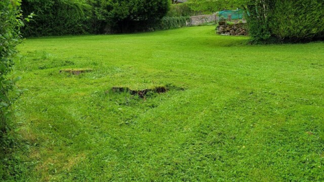 Accueil Svg+xml,%3Csvg%20xmlns%3D%22http%3A%2F%2Fwww.w3