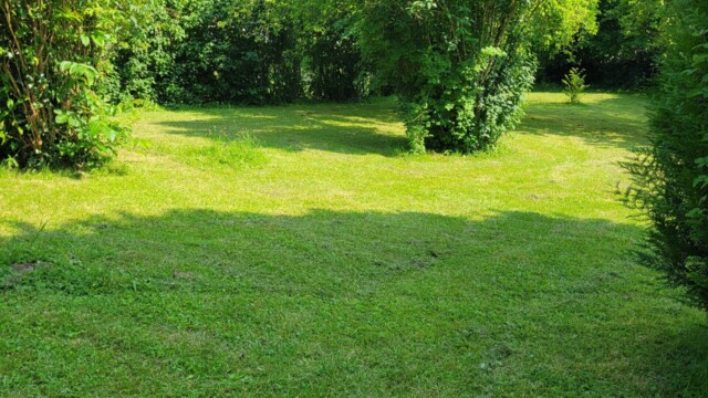 Accueil Svg+xml,%3Csvg%20xmlns%3D%22http%3A%2F%2Fwww.w3