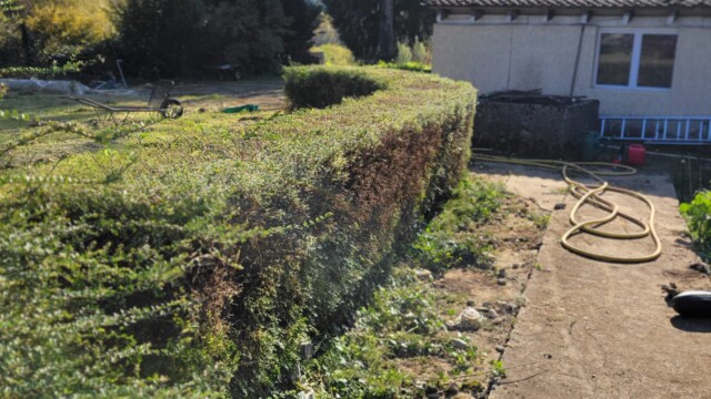 Accueil Svg+xml,%3Csvg%20xmlns%3D%22http%3A%2F%2Fwww.w3