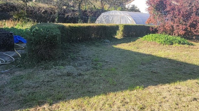 Accueil Svg+xml,%3Csvg%20xmlns%3D%22http%3A%2F%2Fwww.w3