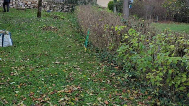 Accueil Svg+xml,%3Csvg%20xmlns%3D%22http%3A%2F%2Fwww.w3