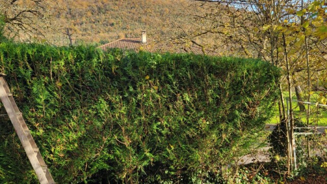 Accueil Svg+xml,%3Csvg%20xmlns%3D%22http%3A%2F%2Fwww.w3