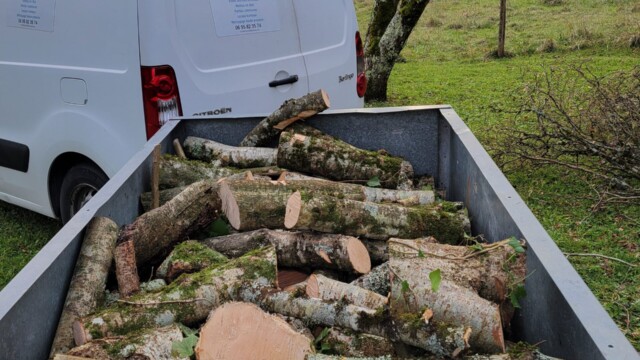 Accueil Svg+xml,%3Csvg%20xmlns%3D%22http%3A%2F%2Fwww.w3