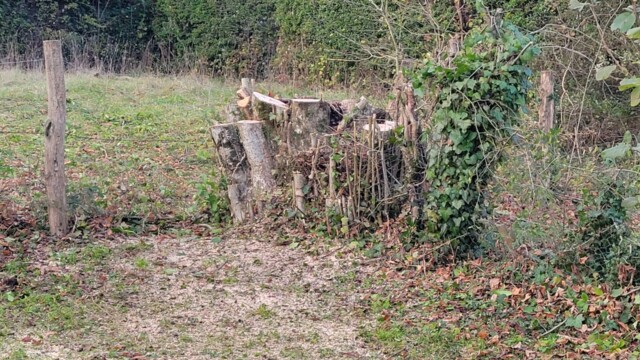 Accueil Svg+xml,%3Csvg%20xmlns%3D%22http%3A%2F%2Fwww.w3