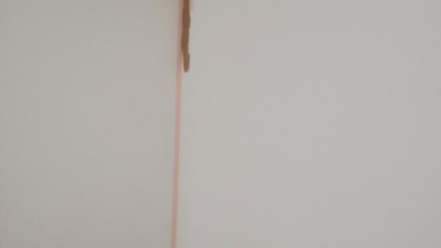 Accueil Svg+xml,%3Csvg%20xmlns%3D%22http%3A%2F%2Fwww.w3