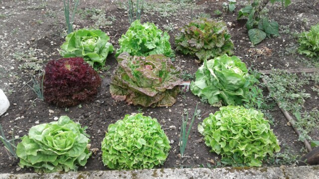 User comments Svg+xml,%3Csvg%20xmlns%3D%22http%3A%2F%2Fwww.w3