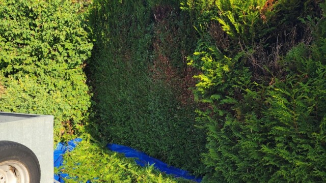 Accueil Svg+xml,%3Csvg%20xmlns%3D%22http%3A%2F%2Fwww.w3