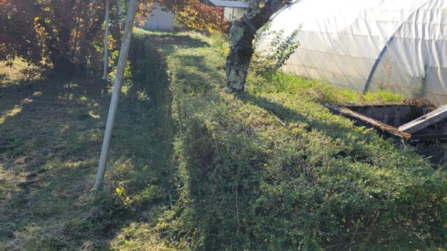 Accueil Svg+xml,%3Csvg%20xmlns%3D%22http%3A%2F%2Fwww.w3