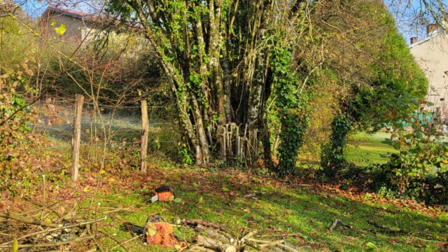 Accueil Svg+xml,%3Csvg%20xmlns%3D%22http%3A%2F%2Fwww.w3